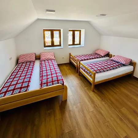 Venkovský dům Etno-house